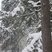 70. Winter Wonderland