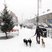 34. Winter Wonderland
