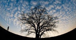 Winter Clouds