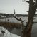 28. Nice white blue lagoon in Bletchley 
