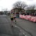 35. Bideford Half Marathon 80