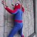 29. Spideyman Hits The West Country 11