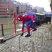 21. Spideyman Hits The West Country 5