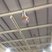 Blake Gaudry Trampolining 2
