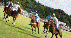 Duke of Wessex Polo
