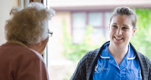 Bluebird Care Swindon