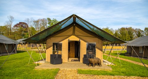 Port Lympne Reserve - Bear Lodge