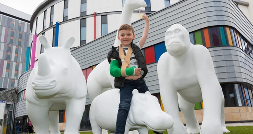 Hamilton Bid – The Big Stampede