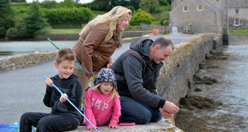 Pembrokeshire fish festival