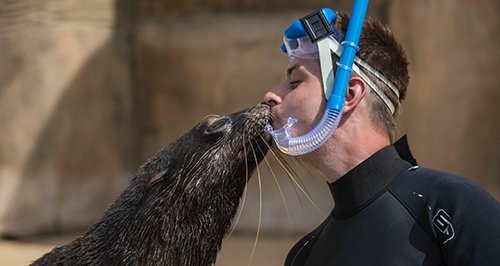 seaQuarium article